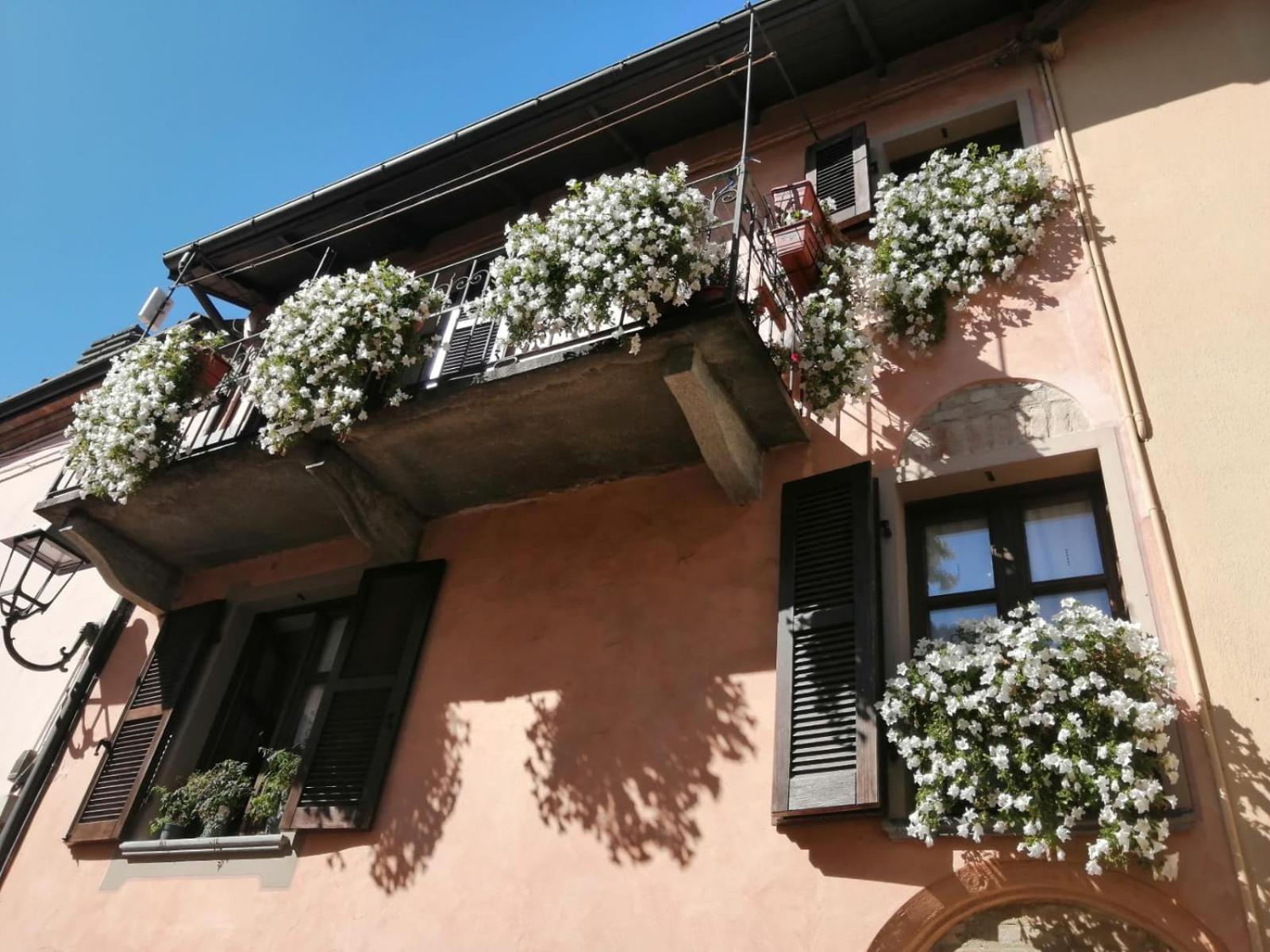Holiday House Antica Dimora Soggiorni In Langa Centro Storico 拉莫拉 外观 照片